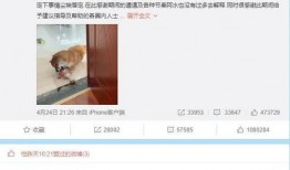 罗志祥爆料微博事件视频,揭秘娱乐圈背后的真相